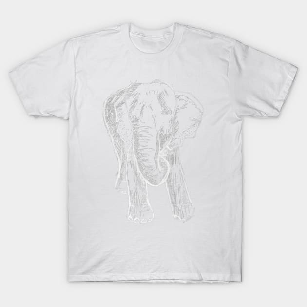 Elephant Sketch (Light) T-Shirt by pixelvision